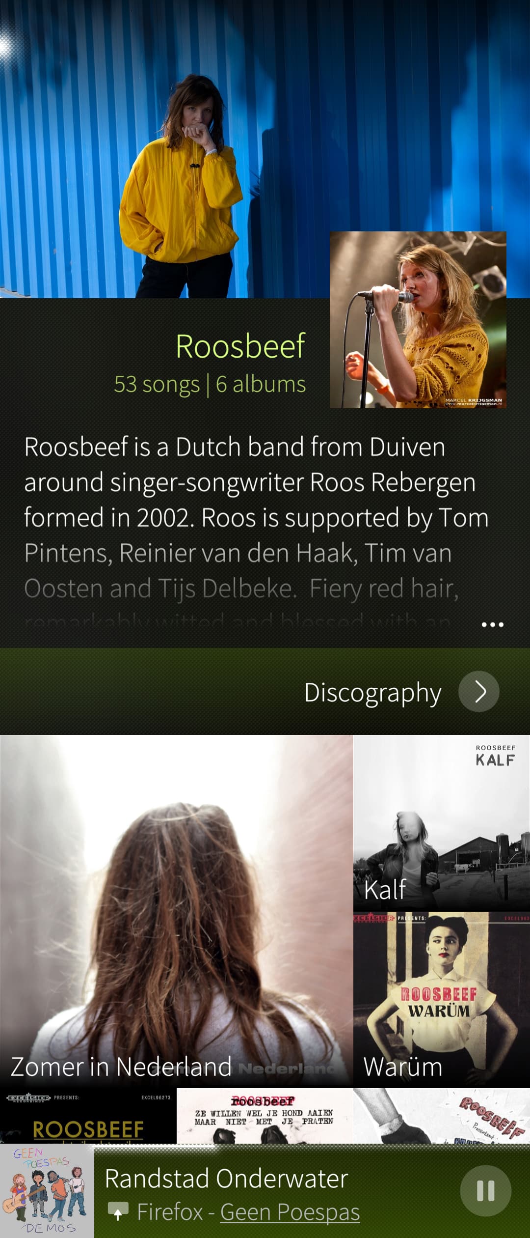 A screenshot showing the brand new artist page